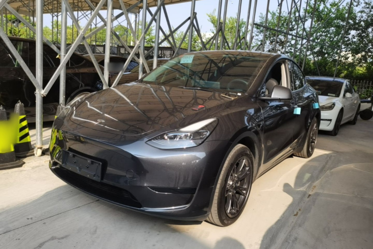 Tesla Model Y 2024 immagine di auto #2
