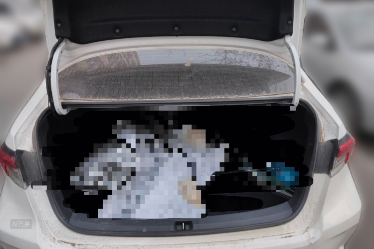 Toyota Corolla 2019 car image #21