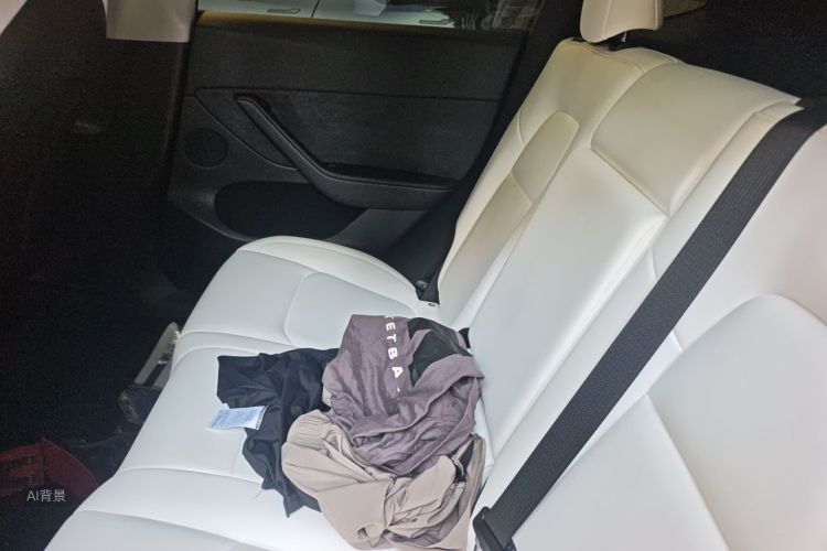 Tesla Model Y 2024 car image #19