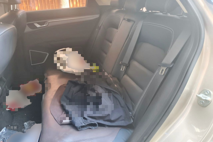 GEELY Emgrand GS 2019 car image #19