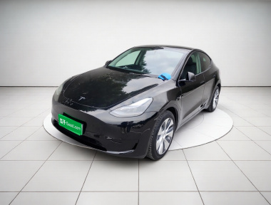 Tesla Model Y 2022 Tesla Model Y 2022 car image