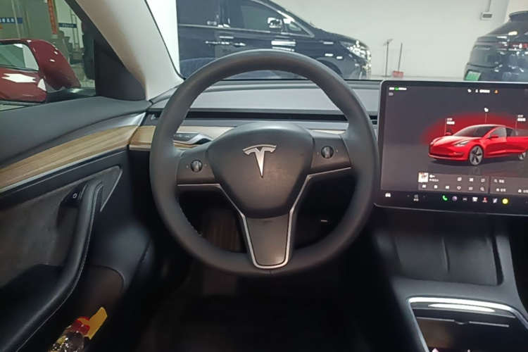 Tesla Model 3 2022 car image #16