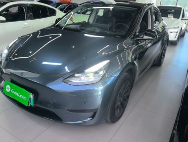 Tesla Model Y 2023 Tesla Model Y 2023 car image