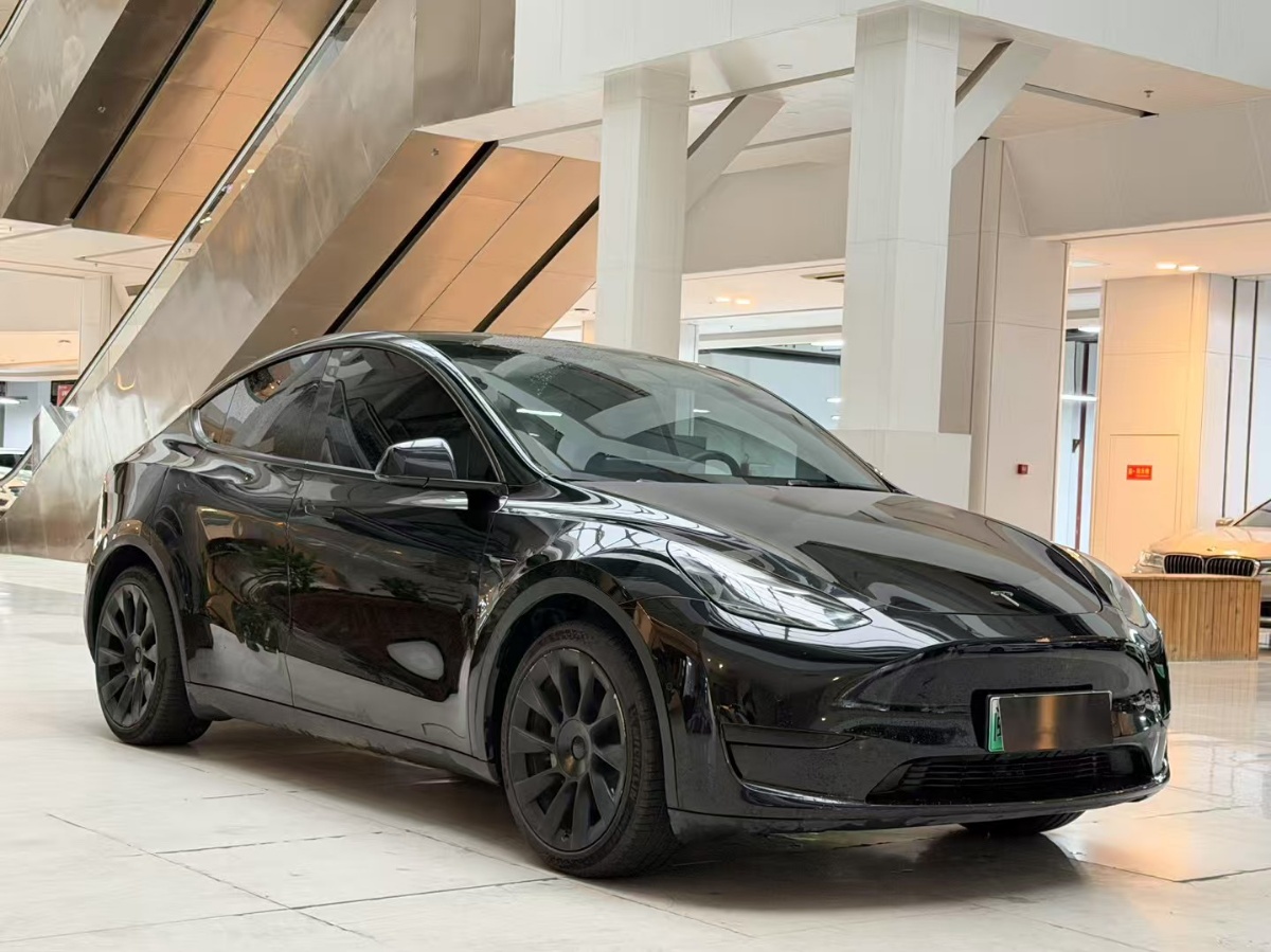 Tesla Model Y 2022 #3 Tesla Model Y 2022 car image #3