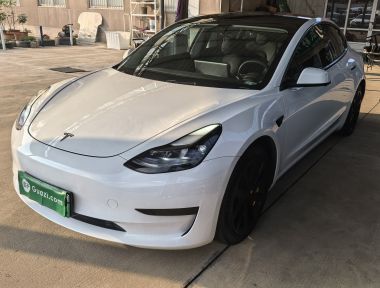 Tesla Model 3 2021 Tesla Model 3 2021 car image