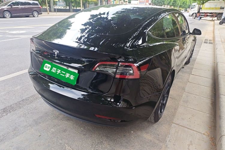 Tesla Model 3 2021 car image #7