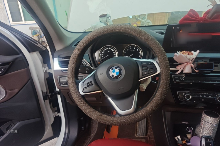 BMW X1 2021 car image #12