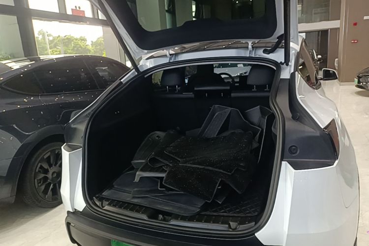Tesla Model Y 2025 #19 Tesla Model Y 2025 car image #19