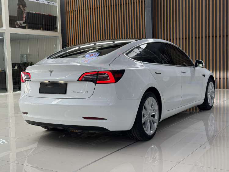 Tesla Model 3 2020 car image #6