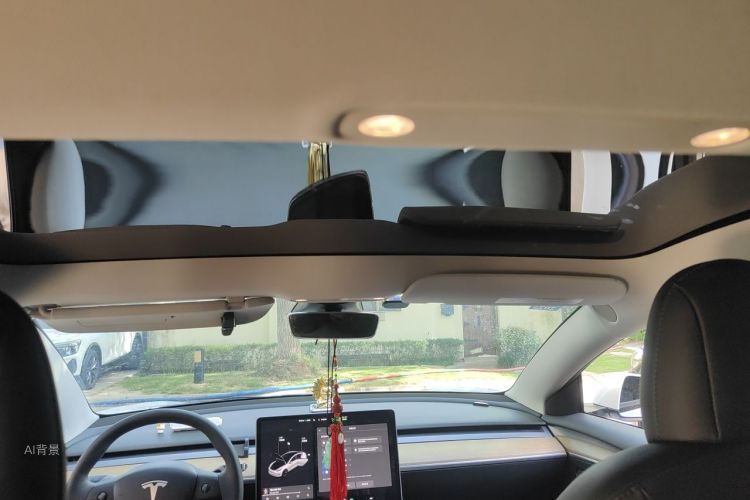 Tesla Model 3 2021 #20 Tesla Model 3 2021 car image #20