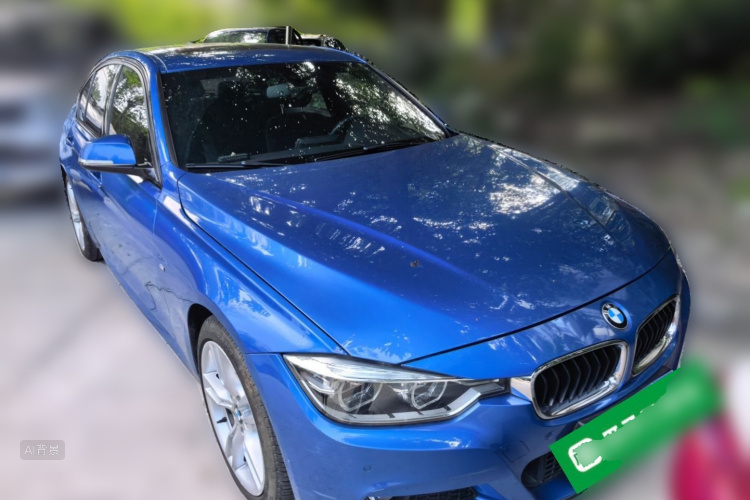 BMW 3 Series 2017 car image #4