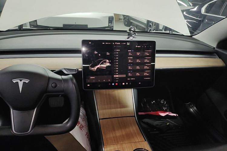 Tesla Model 3 2020 car image #13