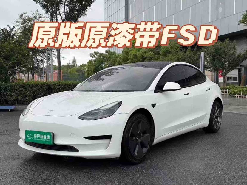 Tesla Model 3 2021 Tesla Model 3 2021 car image