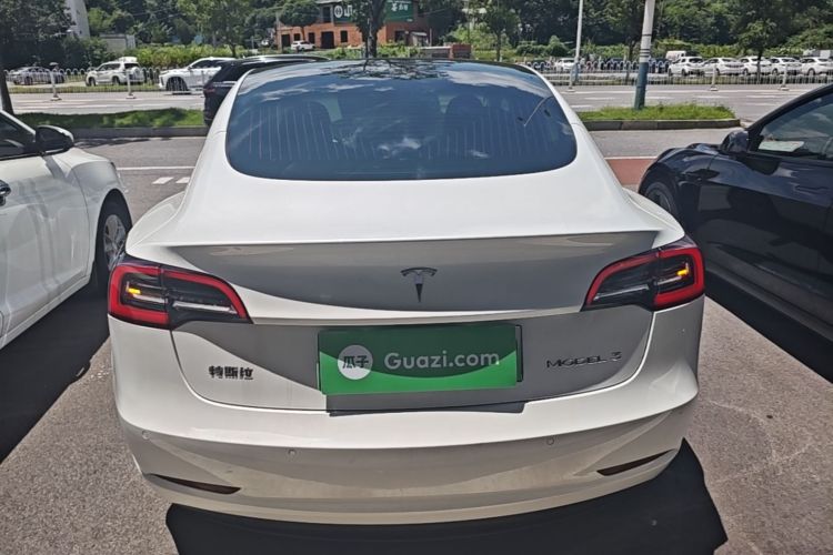 Tesla Model 3 2020 car image #6