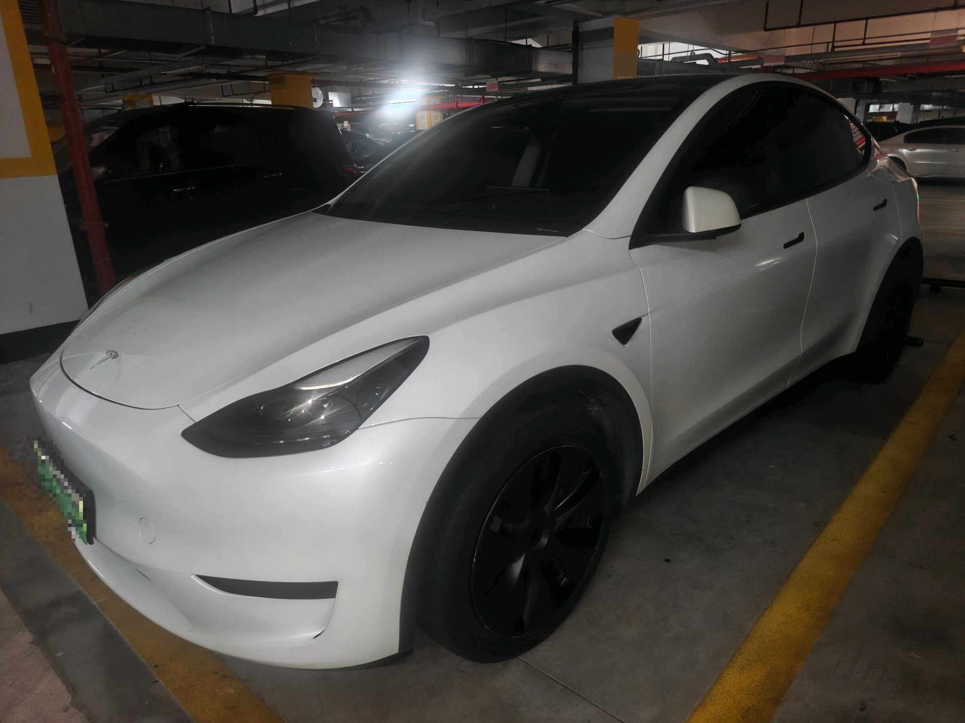 Tesla Model Y 2024 car image 