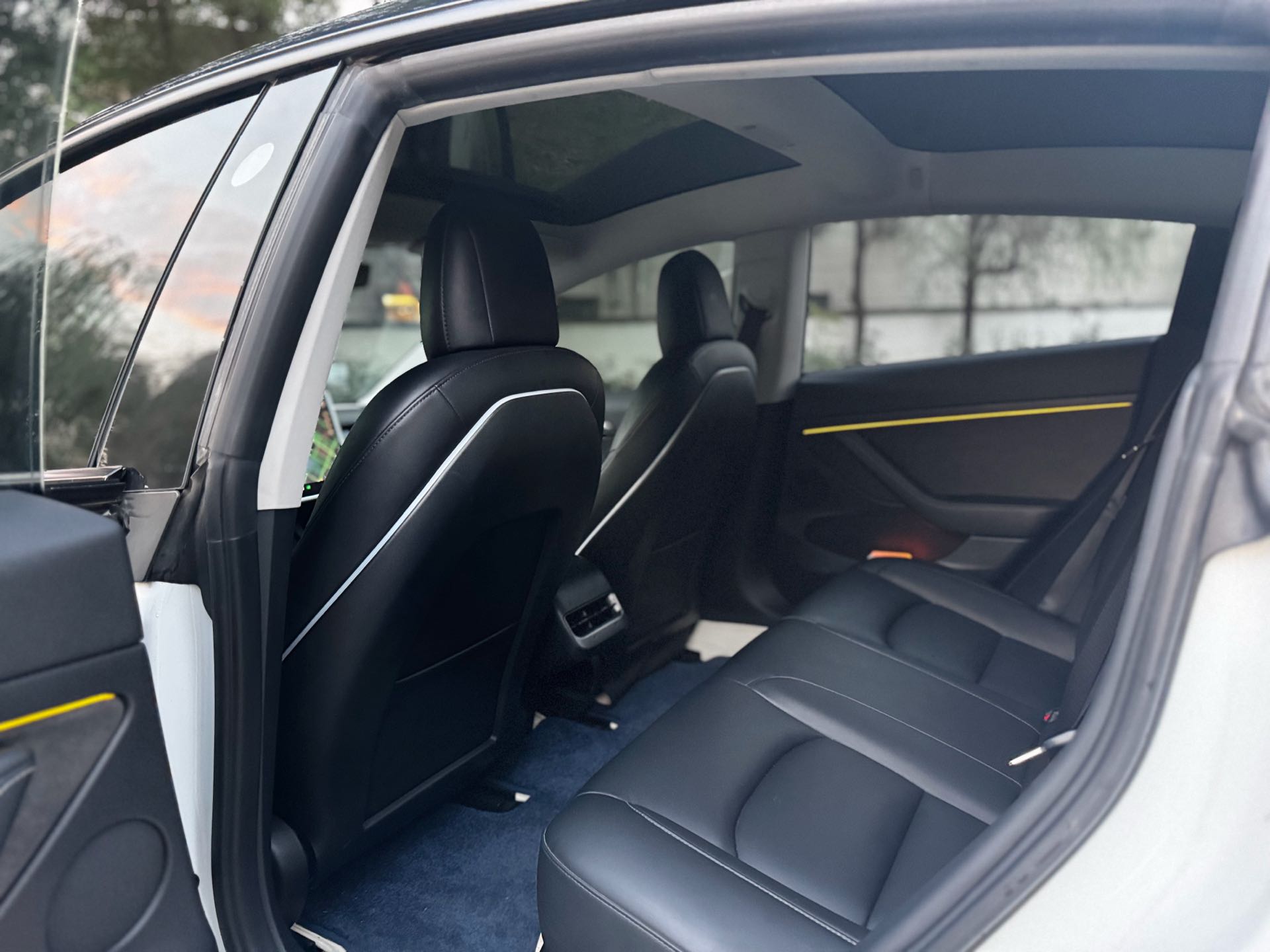 Tesla Model 3 2021 car image #5