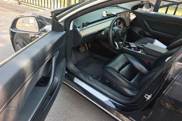 Tesla Model 3 2020 immagine di auto #18
