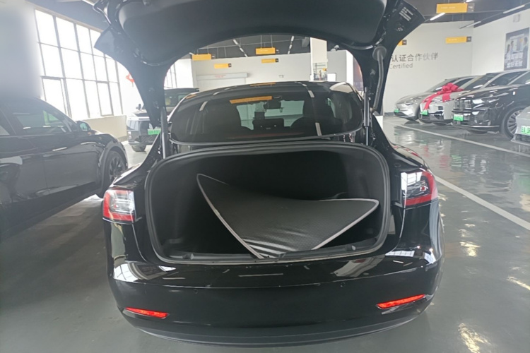 Tesla Model 3 2021 car image #19