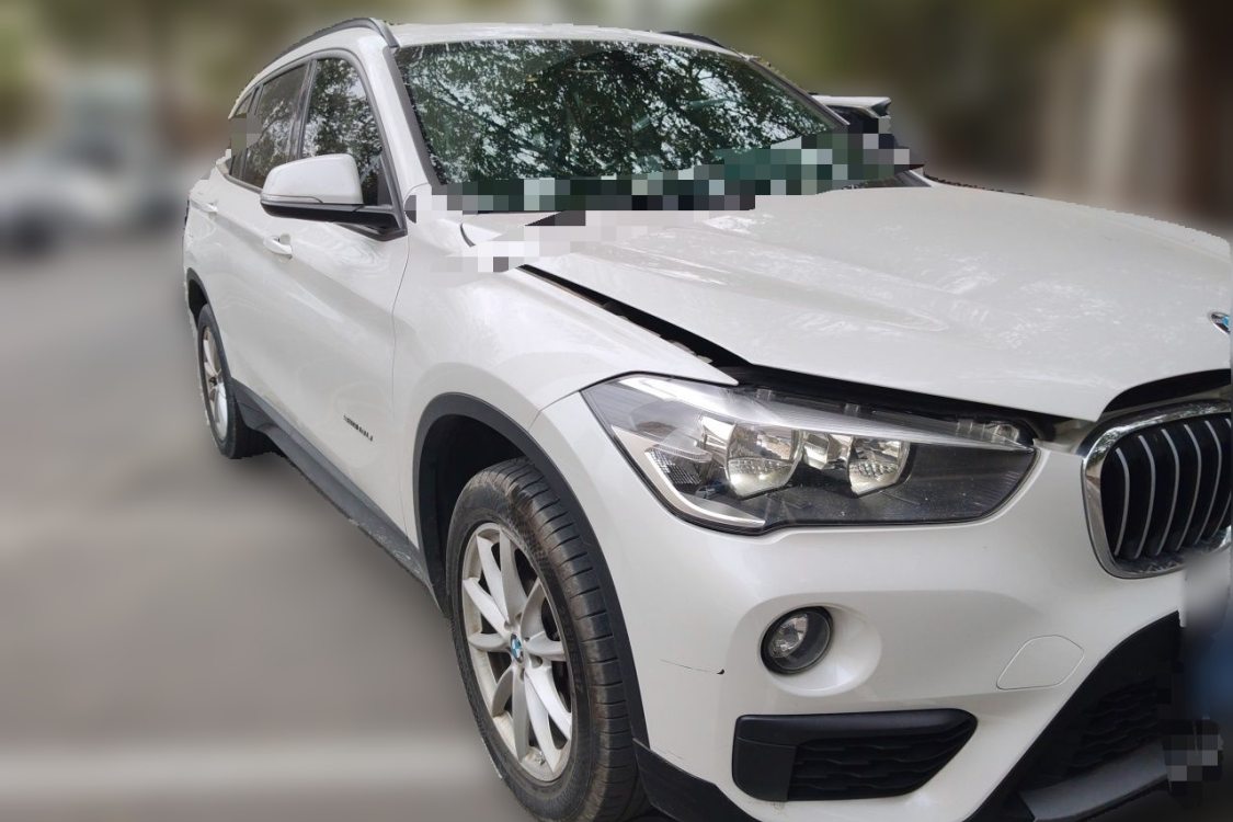 BMW X1 2017 car image #2