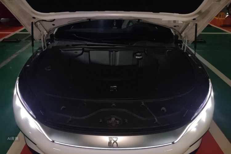 比亚迪 汉 2022 汽车图片 #22