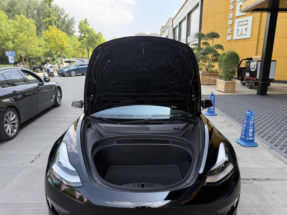 Tesla Model 3 (Imported) 2019 car image #30
