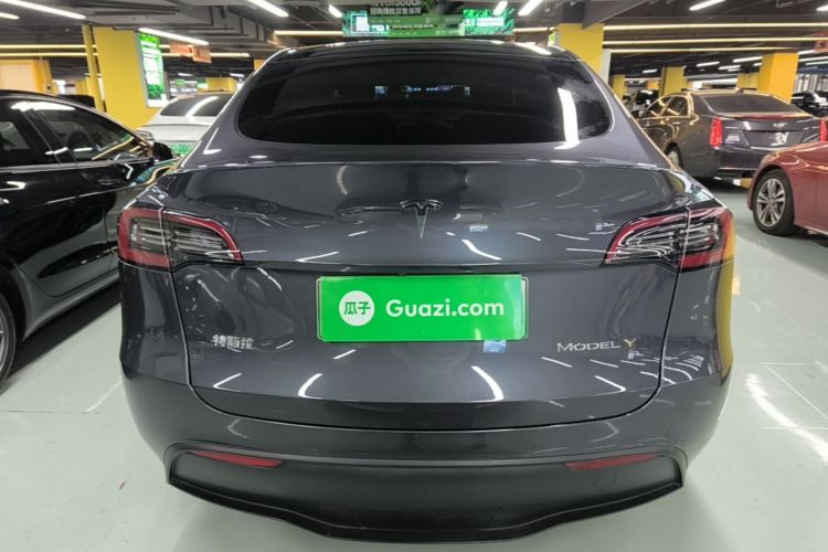 Tesla Model Y 2021 car image #6
