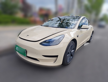 Tesla Model 3 2022 car image 