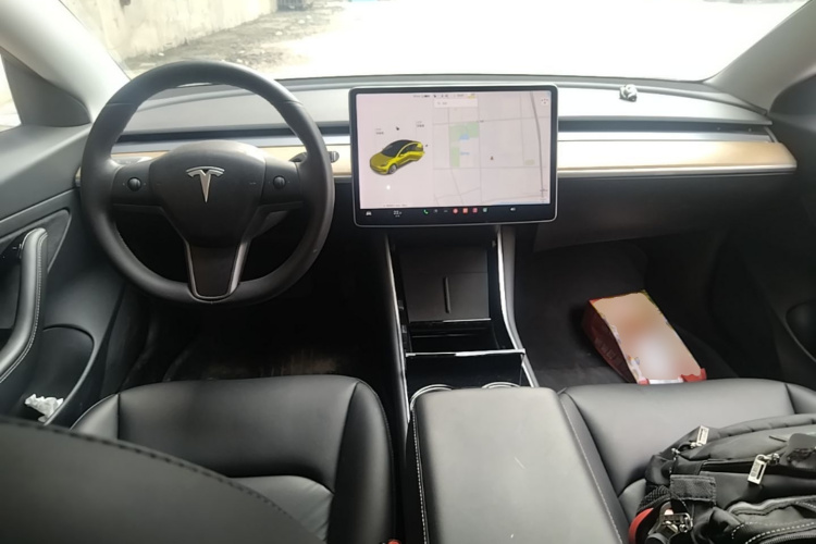Tesla Model 3 2020 car image #10