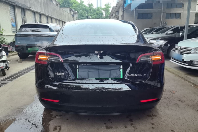 Tesla Model 3 2021 immagine di auto #6