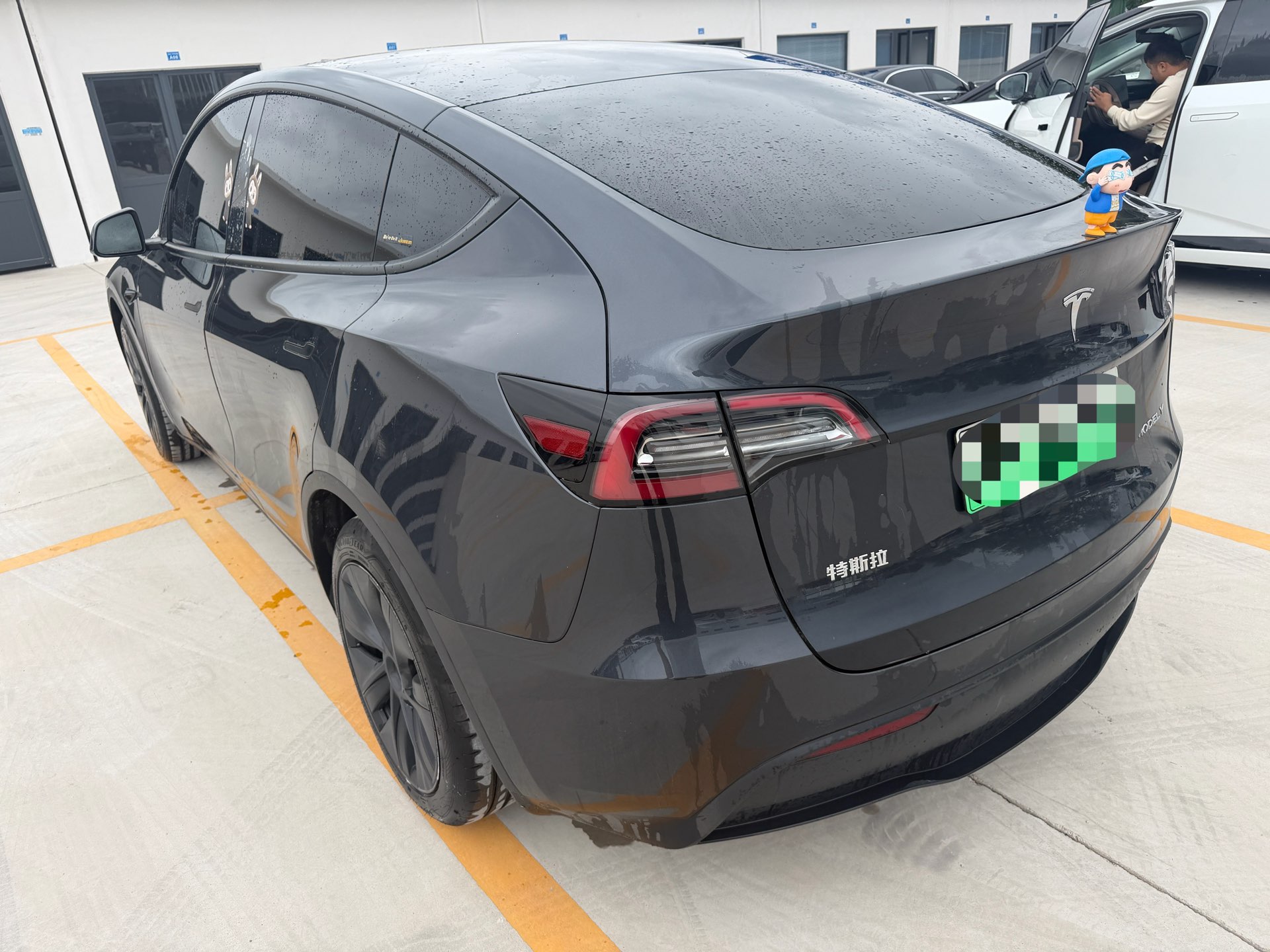 Tesla Model Y 2024 car image #6