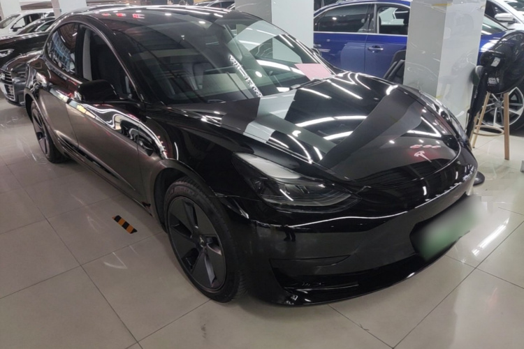 Tesla Model 3 2021 #4 Tesla Model 3 2021 car image #4