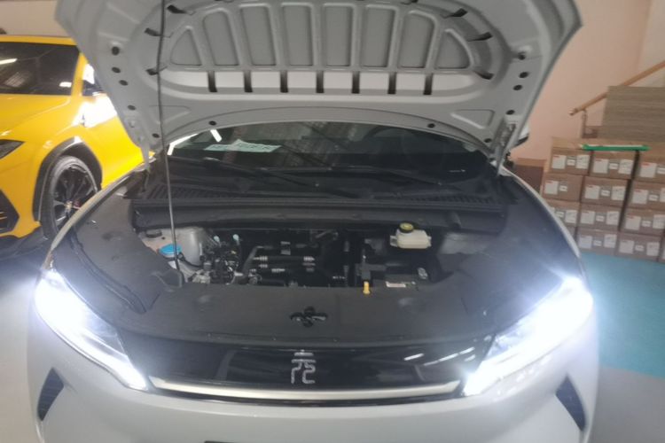 BYD YuanUP 2024 #20 BYD YuanUP 2024 immagine di auto #20