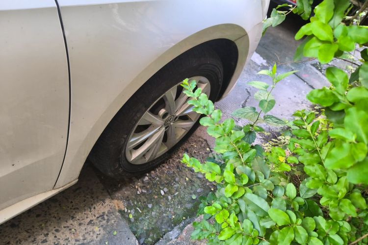 Volkswagen Lavida 2016 #6 Volkswagen Lavida 2016 car image #6