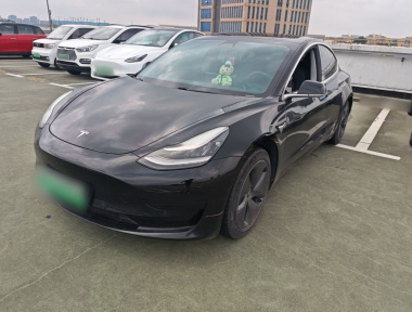 Tesla Model 3 2020 Tesla Model 3 2020 car image