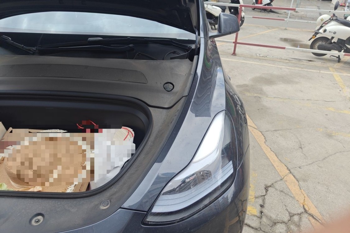 特斯拉 Model Y 2024 汽车图片 #12