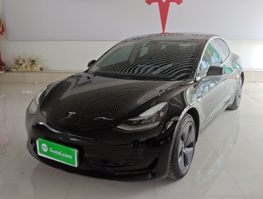Tesla Model 3 2020 Tesla Model 3 2020 car image