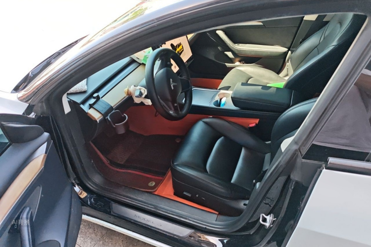Tesla Model 3 2022 car image #18