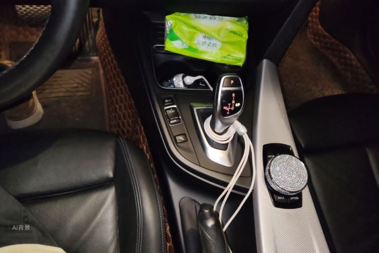 BMW 3 Series 2018 car image #16