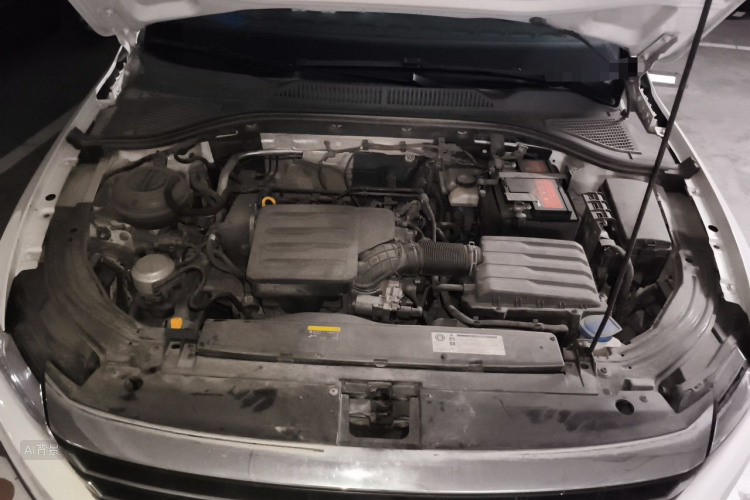 Volkswagen Lavida 2019 car image #22