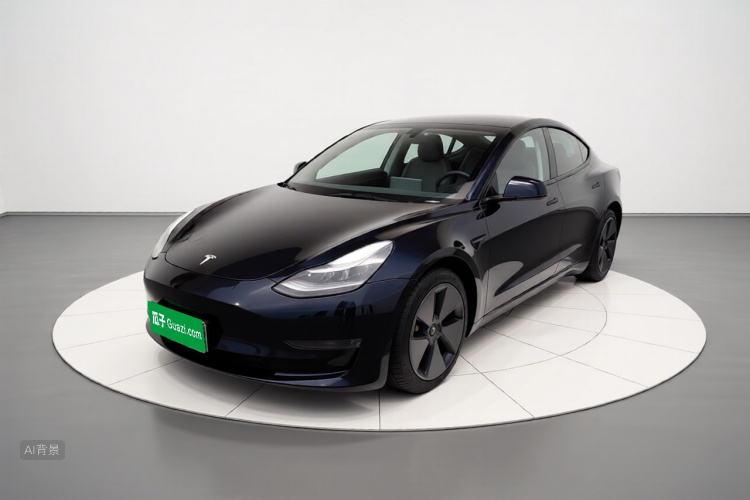 Tesla Model 3 2022 #2 Tesla Model 3 2022 car image #2