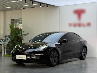 Tesla Model 3 2023 Tesla Model 3 2023 car image