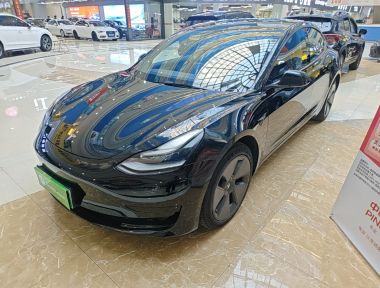 Tesla Model 3 2021 Tesla Model 3 2021 car image
