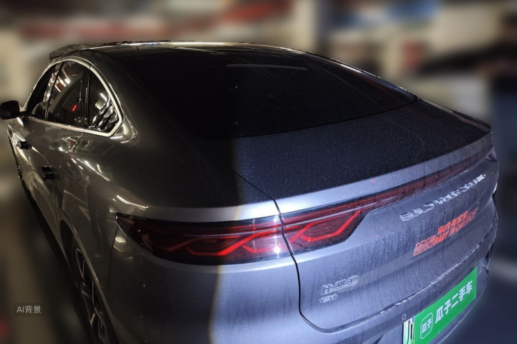 BYD Han 2022 immagine di auto #5