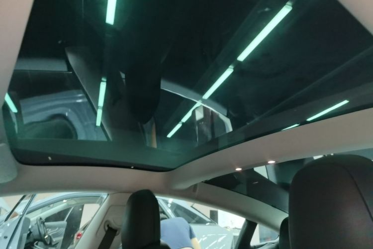 Tesla Model 3 2020 car image #18
