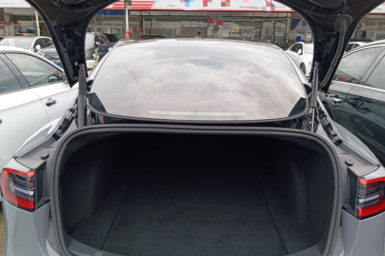 Tesla Model 3 2021 #26 Tesla Model 3 2021 car image #26