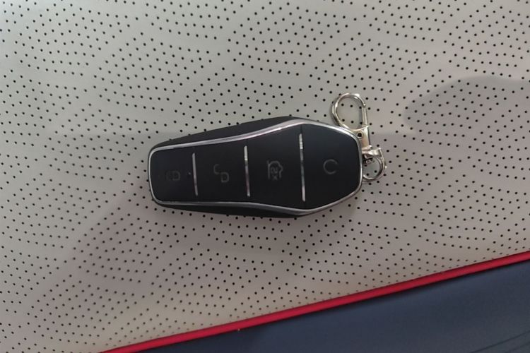 BYD Yuan Plus 2022 car image #14