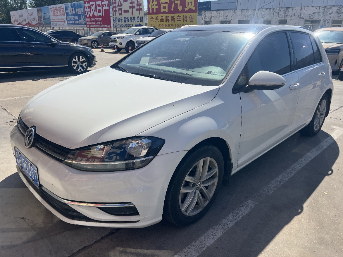 Volkswagen Golf 2019 Volkswagen Golf 2019 car image
