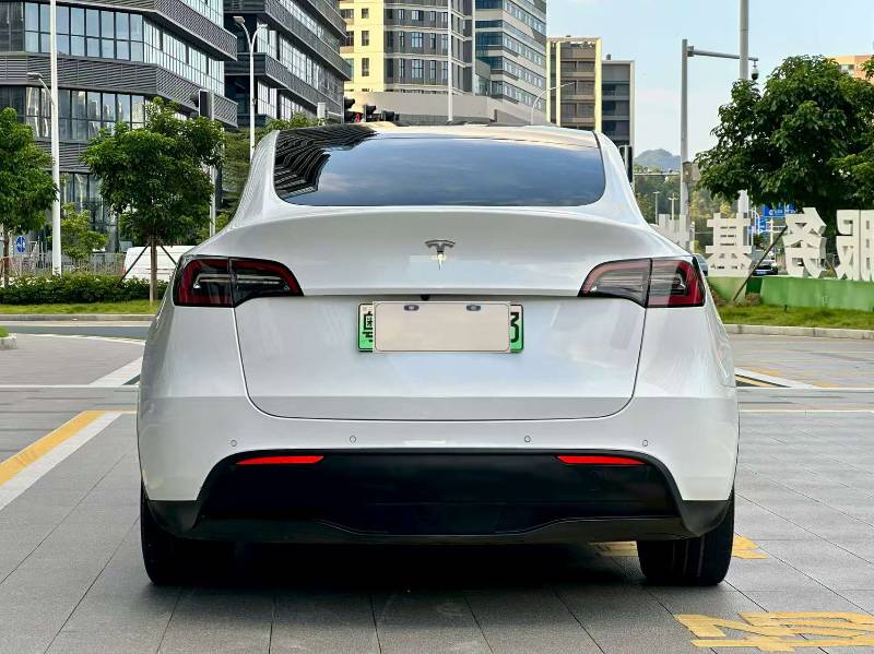 Tesla Model Y 2021 car image #9