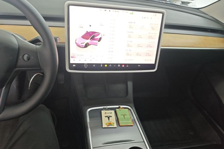 Tesla Model 3 2023 car image #17