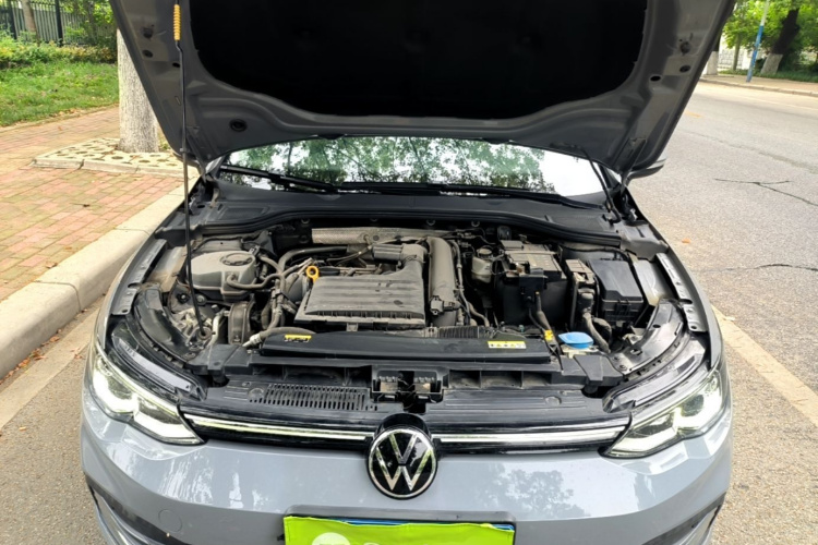 Volkswagen Golf 2021 #20 Volkswagen Golf 2021 car image #20